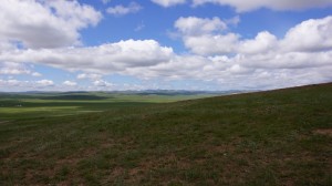Prairies of Mongolia