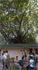 mara tree lirneasia office opening